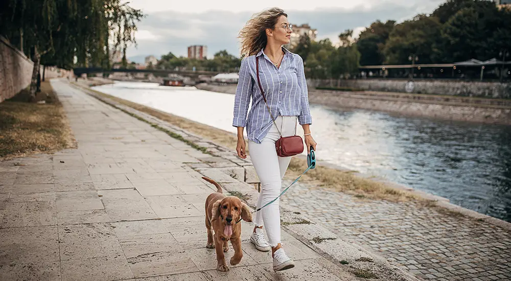 Walking dog